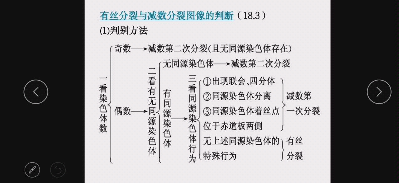 减数分裂图像的判断及染色体DNA数量曲线(下)哔哩哔哩bilibili