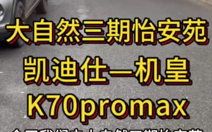 66凯迪仕高端机 机皇来啦,K70promax带掌静脉,人脸识别,室内可视屏,指纹,密码,卡片,机械钥匙,临时密码,采用锌合金材质,重的很感兴趣的...