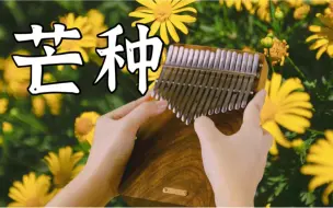 Tải video: 【拇指琴】芒种，一想到你我就咕咕咕