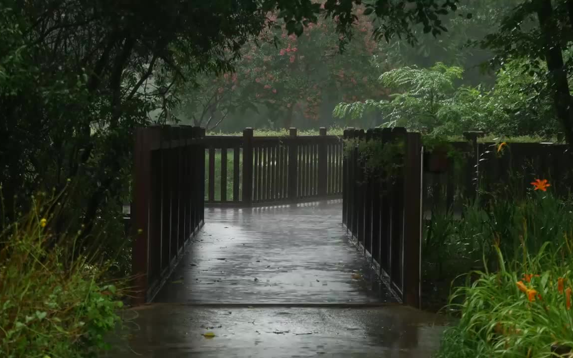 [图]【极度舒适】8个小时的舒缓雨声使您可以在绿色森林公园中睡觉