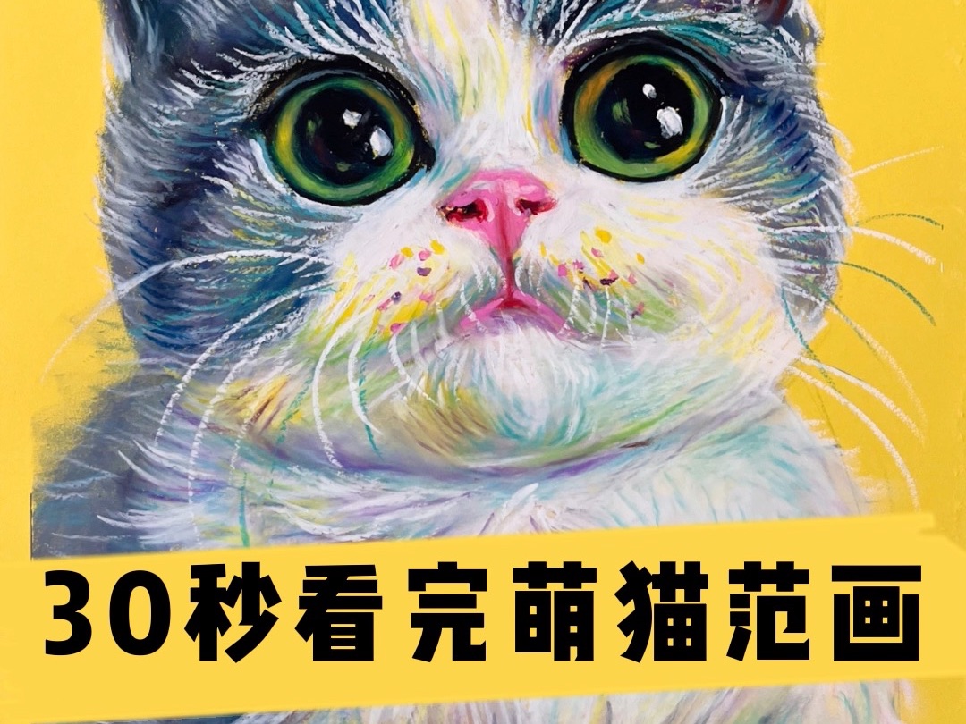 萌猫怎么画图片