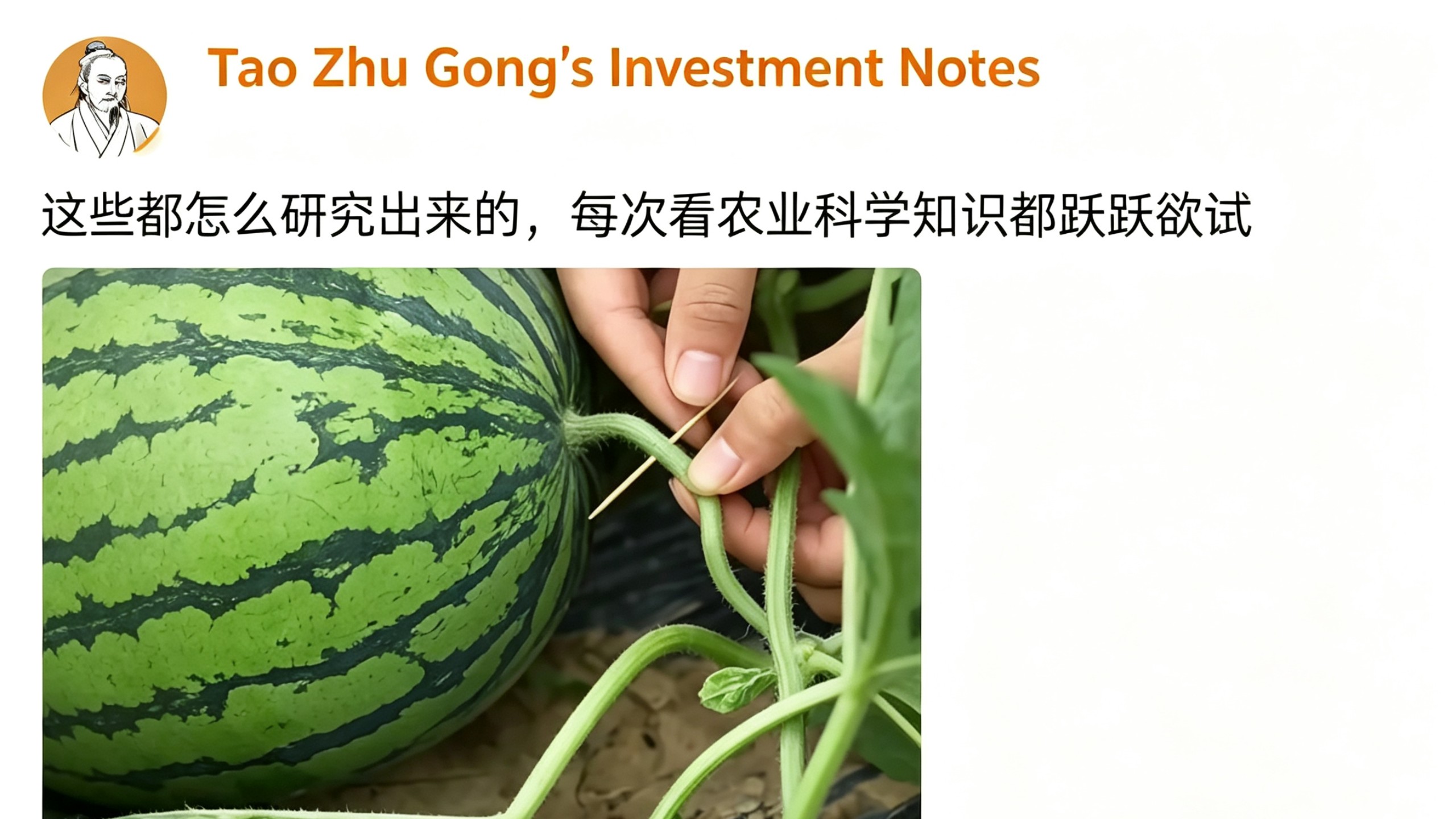 这些都怎么研究出来的，每次看农业科学知识都跃跃欲试我感觉我现在非常强大，快给我一块地#种植技巧 #种植西瓜
