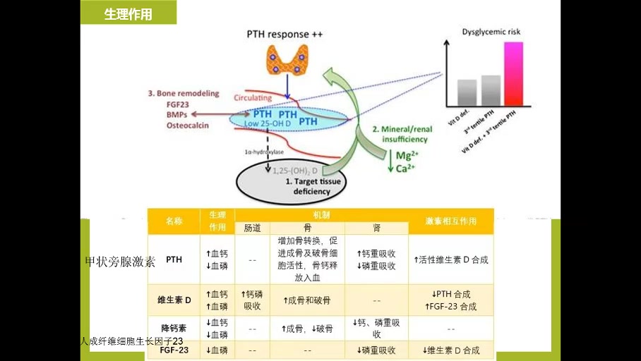 [图]《食品营养学》微量营养素 4-4