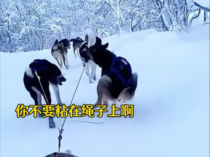 你让我感到无比恶心