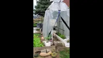 详细介绍自制小暖屋diy Greenhouse 瓜架变暖房 自制简单温室 简单快速为菜园搭建小暖棚 简单低成本温室 冬天种菜防雪防寒