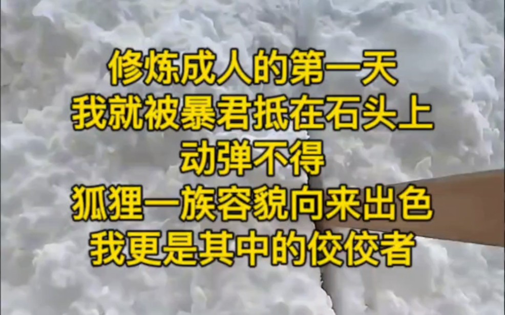 《岁月有染》5:修炼成人的第一天,我就被暴君抵在石头上动弹不得,狐狸一族容貌向来出色,我更是其中的佼佼者哔哩哔哩bilibili