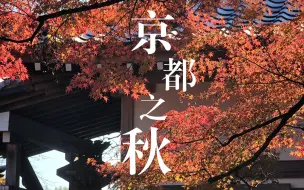 Video herunterladen: 【4K】京都之秋 | 202311