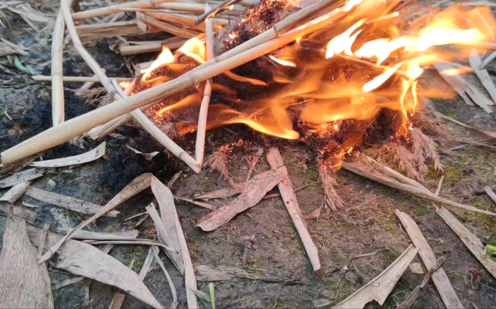 [图]荒原芦苇荡里点了一堆小火，百万年祖先刀耕火种，与火是朋友。现代但凡火都容易带个灾字，文人们以安全为由，不让烧柴火，但是一年的石化燃料，够600年柴火堆积。