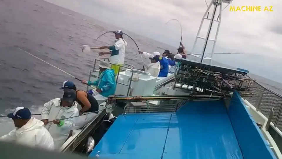 Amazing Fast Tuna Fishing Skill, Catching Fish Big on The Sea_哔哩