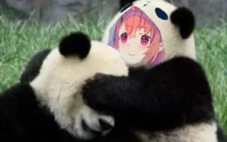 高速周回 搜索结果 哔哩哔哩弹幕视频网 つロ乾杯 Bilibili