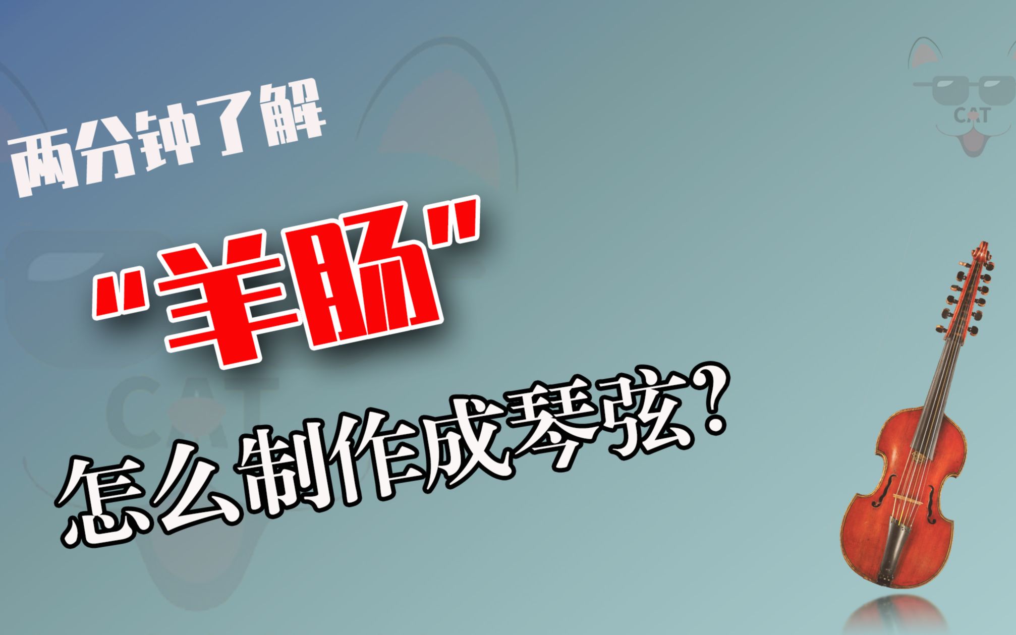 羊肠弦是怎么制作的?用新鲜羊肠生产琴弦需要一个月的时间哔哩哔哩bilibili