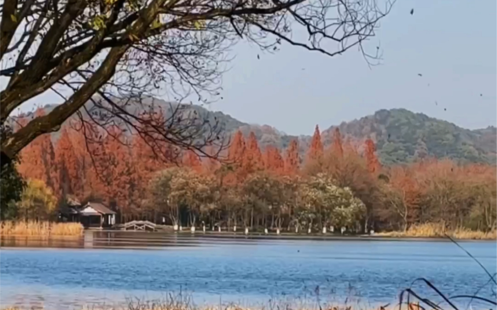 [图]江南的冬不见衰败 横亘在秋色与春景之间