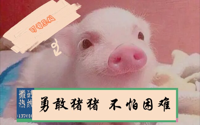 活动作品为了骑你不择手段