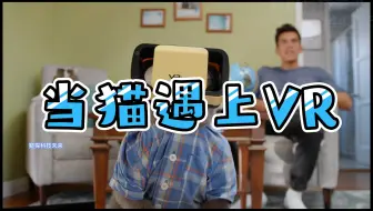 当猫遇上VR