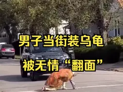 Скачать видео: 一男子装乌龟慢悠悠爬过马路 女司机下车帮他“翻面”