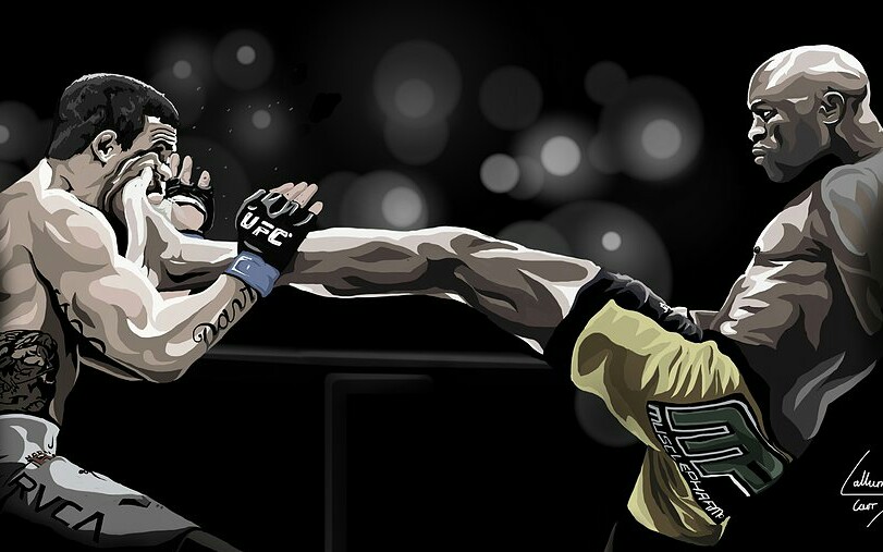 【名场面】mma最佳ko集锦(2013版)_哔哩哔哩_bilibili