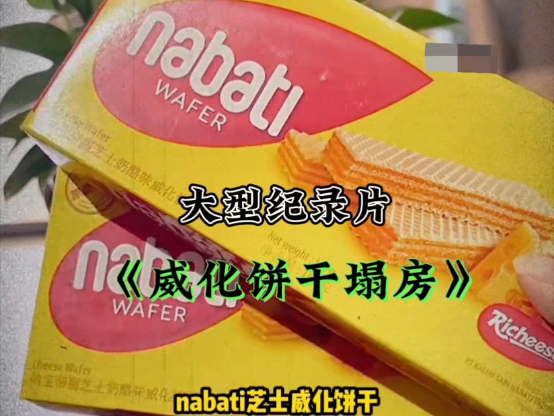 这绝对是国庆第一个让人痛心的消息!没想到吃了nabati会变蠢,nabati还我妈生脑!哔哩哔哩bilibili