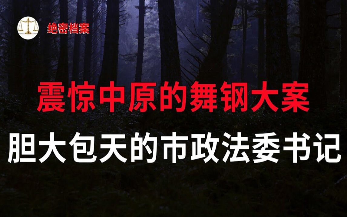 震惊中原大地的舞钢大案,胆大包天的市政法委书记,雇佣老流氓恶棍,谋害上访人 | 大案要案纪实录 | 绝密档案哔哩哔哩bilibili