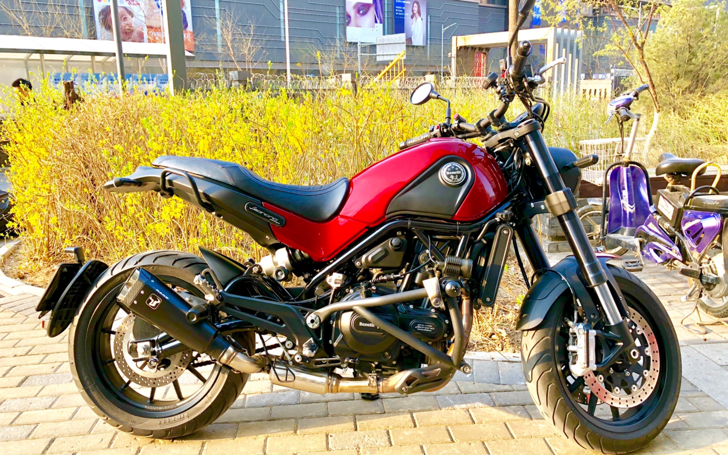 【摩托骑行】幼狮500,周日竟然