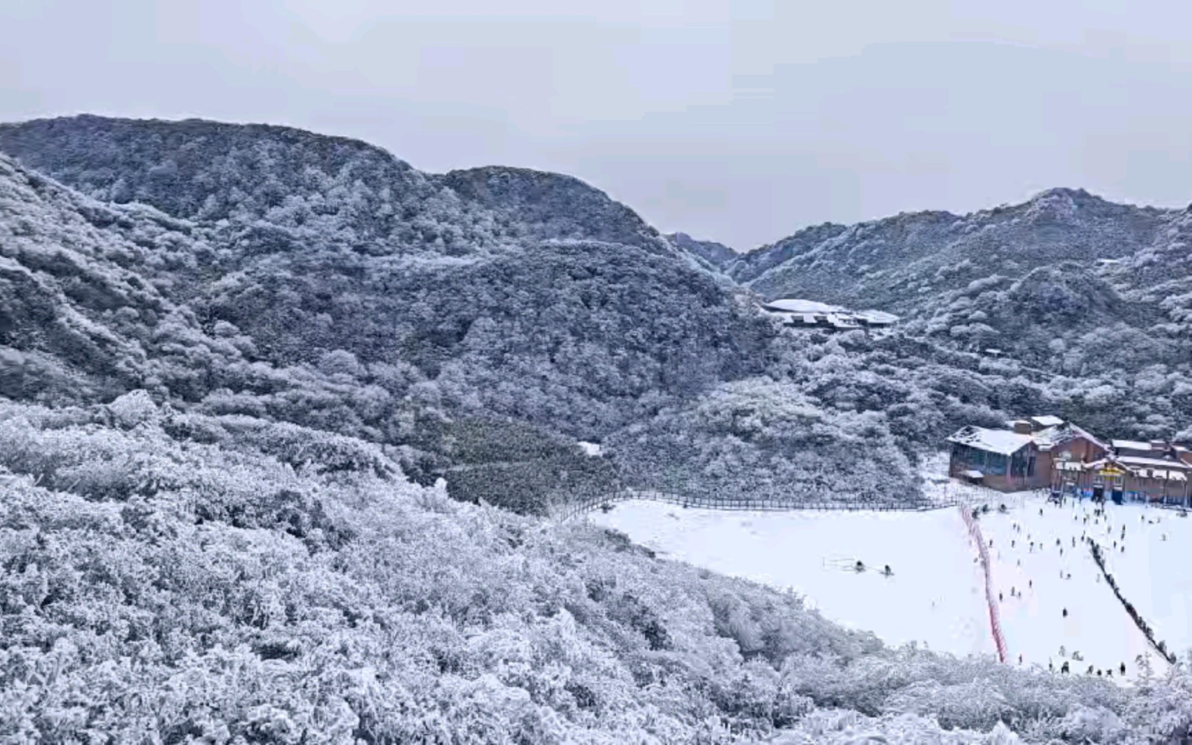 金佛山风景区雪景图片