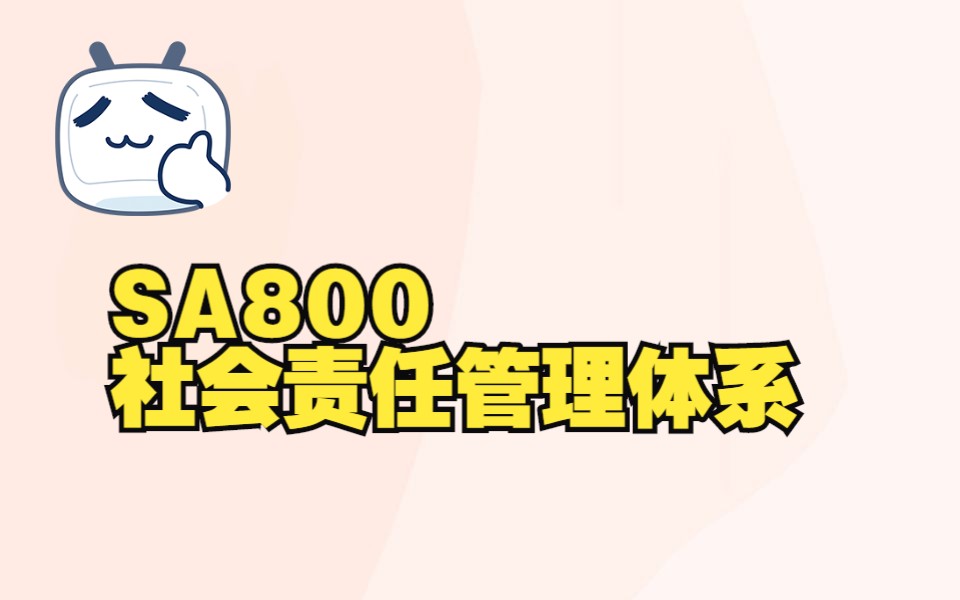 sa8000,sa8000社会责任管理体系,SA8000标准,sa8000管理体系认证费用哔哩哔哩bilibili