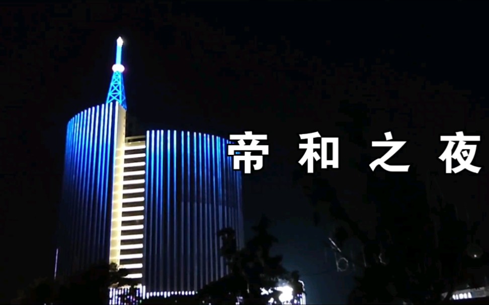 商丘帝和公园夜景哔哩哔哩bilibili