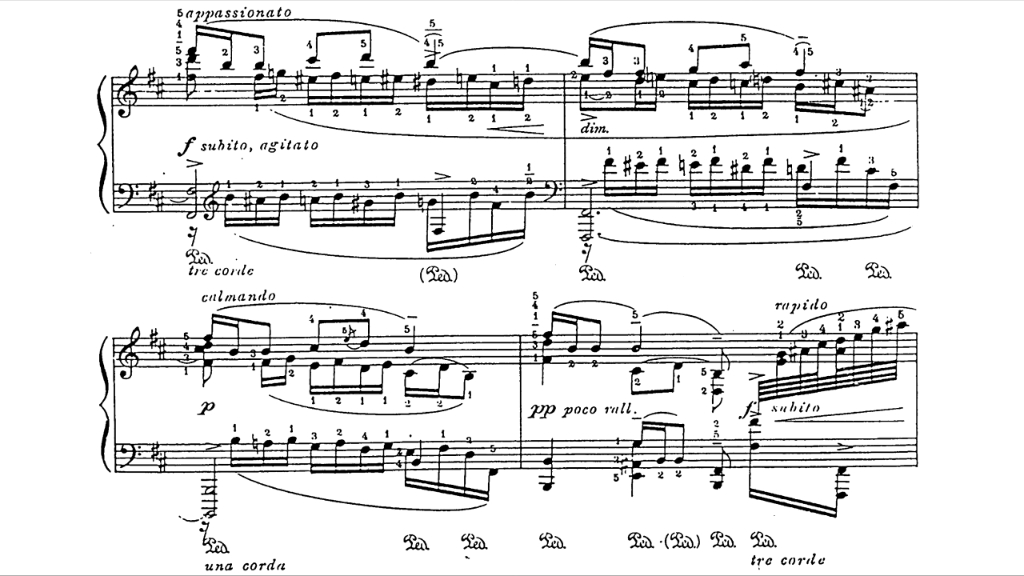 [图]【Hamelin】GODowsky passacaglia戈多夫斯基 帕萨卡利亚