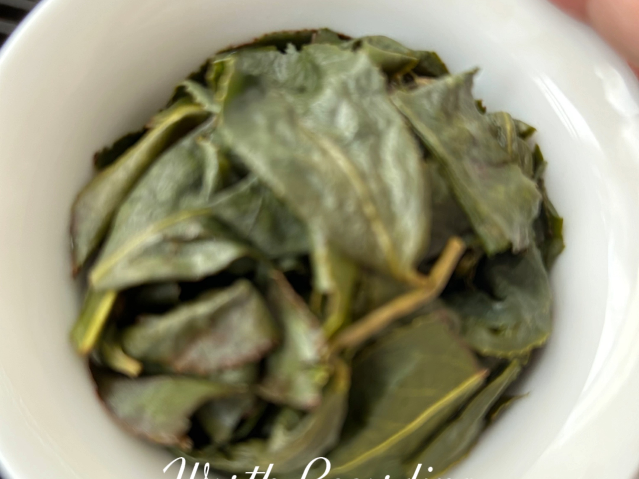 台湾梨山高冷茶