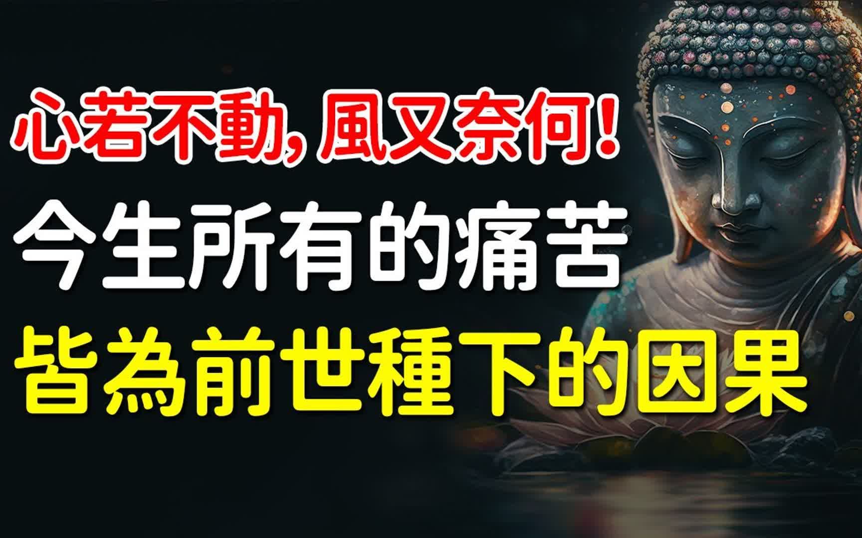 因果,是佛法基本定律!佛曰:心若不动,风又奈何!今生所有的痛苦,皆为前世种下的因果哔哩哔哩bilibili