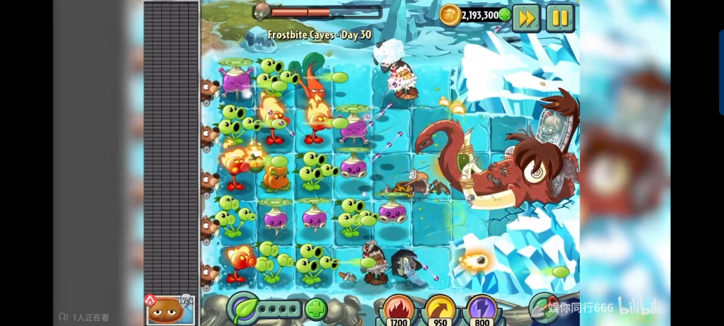 [1080p]pvz2国际版第165期:植物大战僵尸2冰河世界獠牙征服者