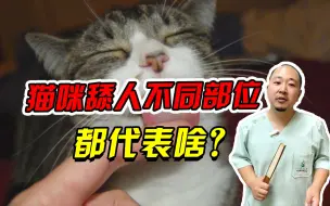 下载视频: 猫咪舔人居然是这个原因？我看谁还不知道