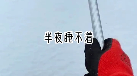 《齐齐尴尬》半夜睡不着,给闺蜜发消息,结果错发给了她哥