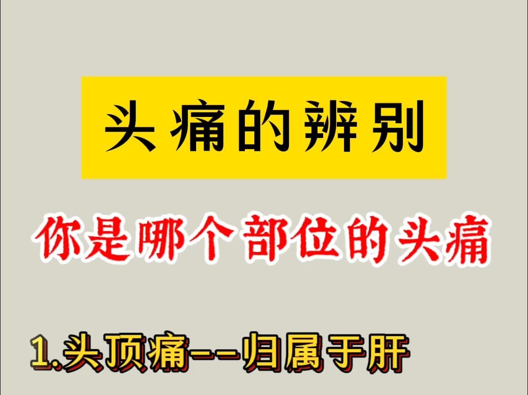 头痛的辨别,你是那个部位的头疼!哔哩哔哩bilibili