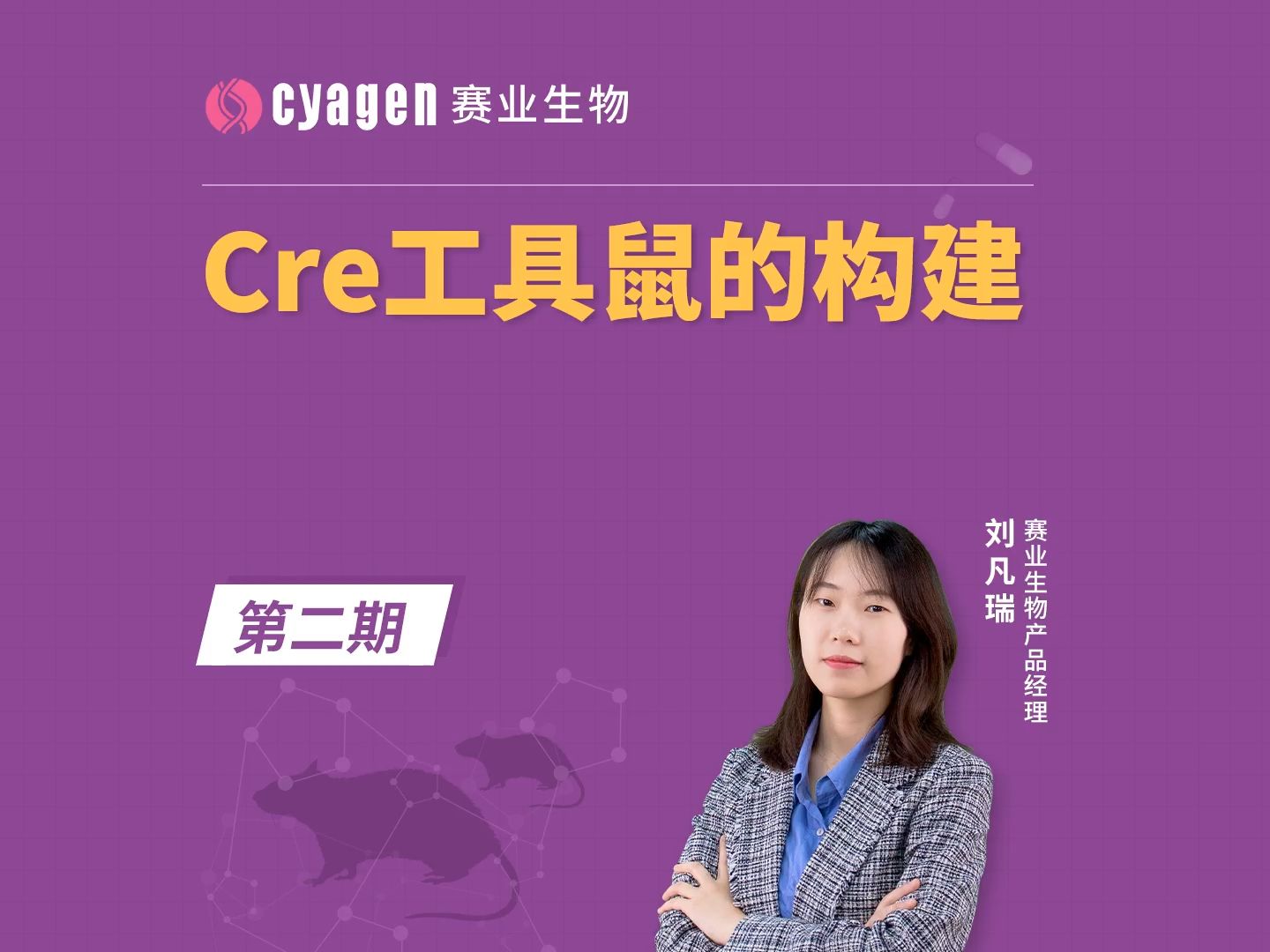 [图]超强辅助Cre工具鼠如何构建？一节课带你了解！