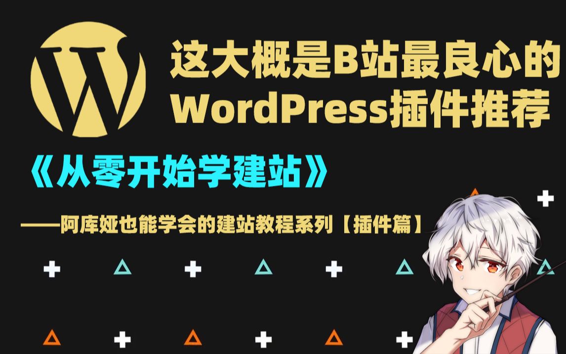 【建站教程】这大概是b站最良心的WP插件推荐视频!