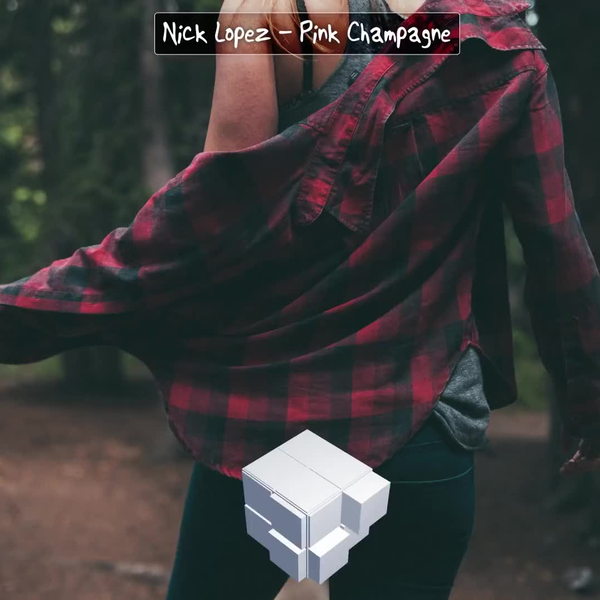 LYRICS] Nick Lopez - Pink Champagne（歌词版）_哔哩哔哩_bilibili