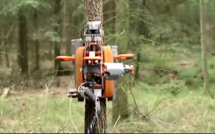 树木剪枝机器人,5秒钟剪好一棵树,"嗖"一下,完事了