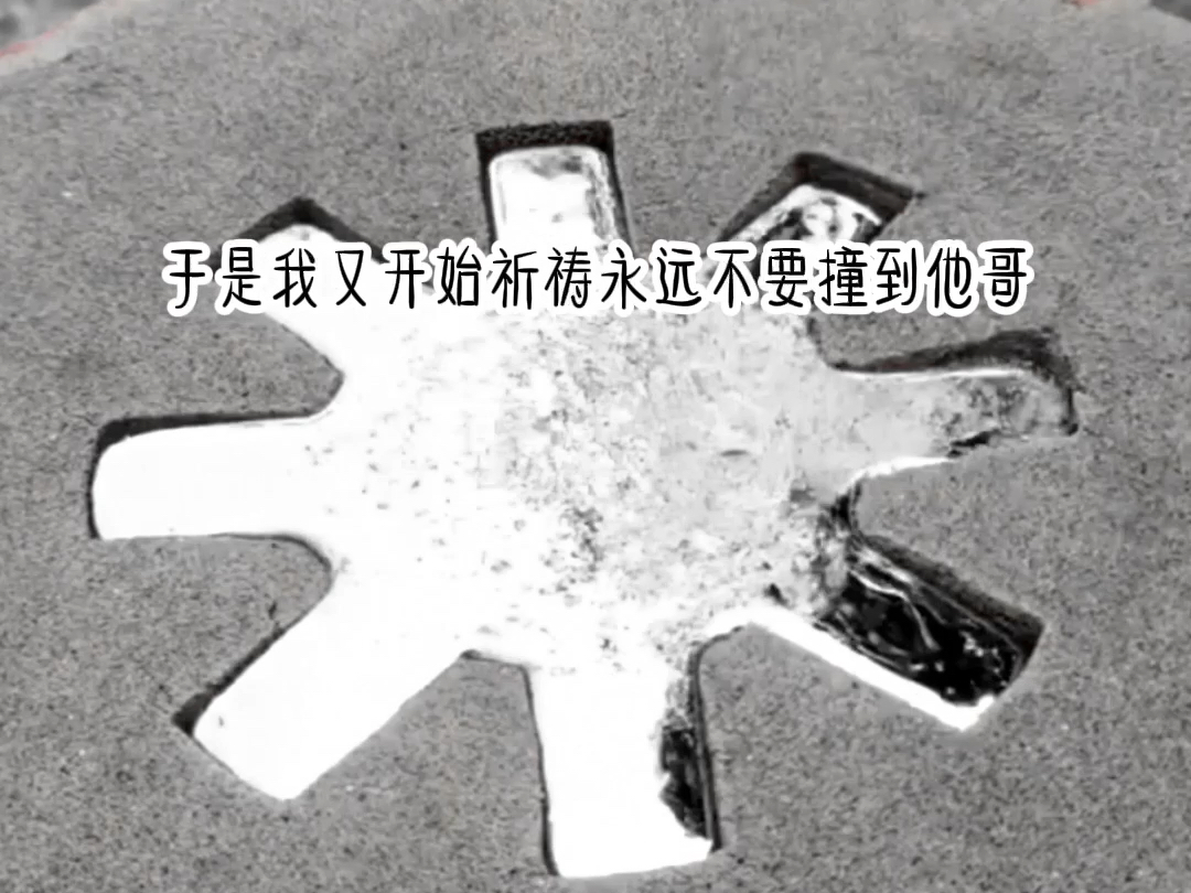 【双男主】—进击网恋 室友他哥把我堵在学校小树林