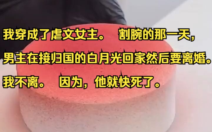 我穿成了虐文女主. 割腕的那一天,男主在接归国的白月光回家然后要离婚.我不离. 因为,他就快死了.吱呼小说推荐《温温归主》哔哩哔哩bilibili