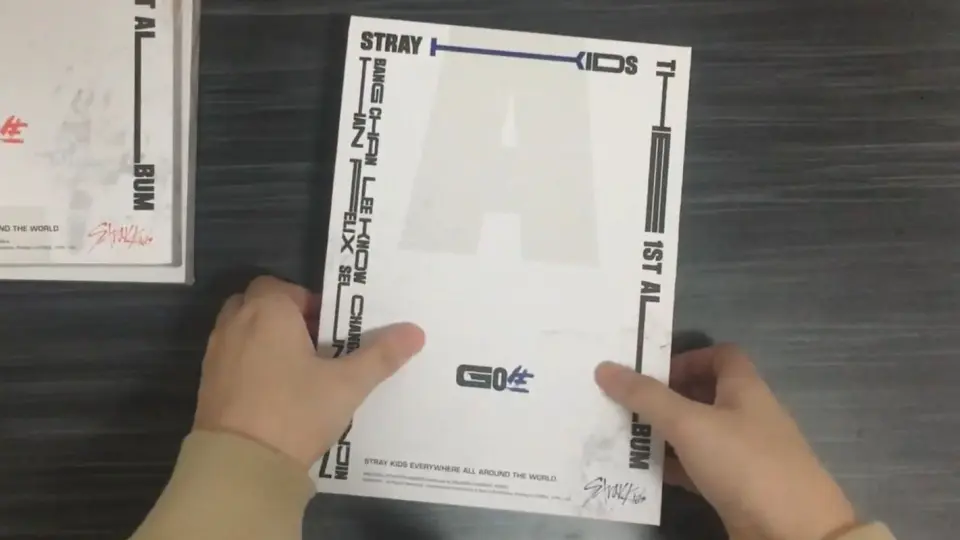 拆专】Stray Kids 正规一辑Go生普通版（非预售）_哔哩哔哩_bilibili