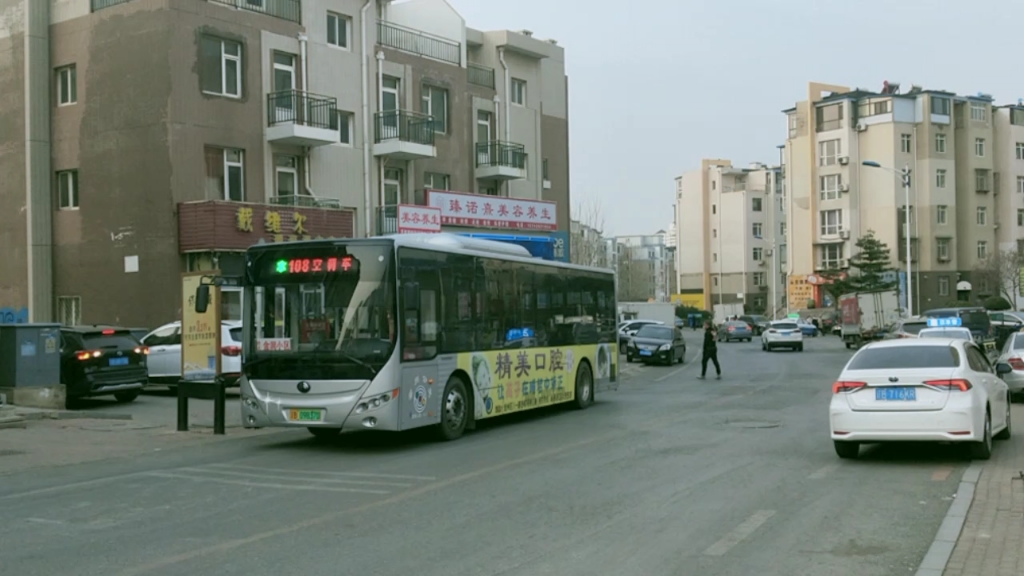 【周末好】金州公交108路宇通zk6105bevg67金润小学出站