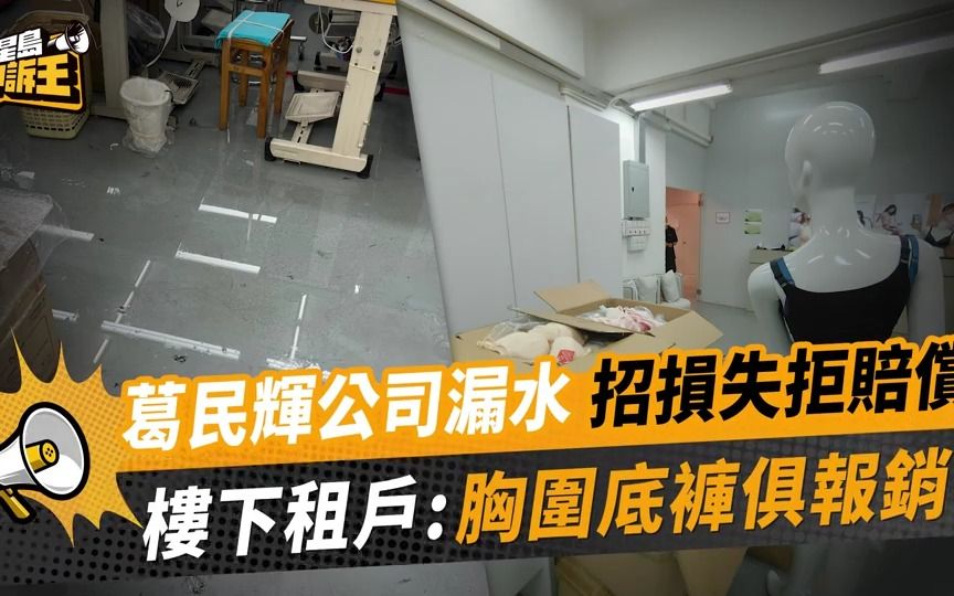 港版“黄金眼”丨葛民辉公司漏水招损失拒赔偿 楼下租户:胸围底裤报销哔哩哔哩bilibili