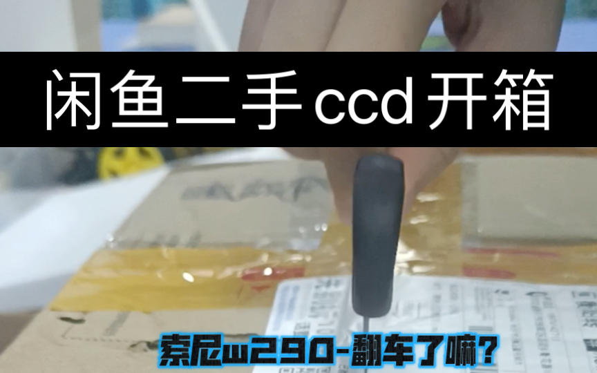 闲鱼ccd开箱分享/索尼w290,给想买ccd的小伙伴一个参考哔哩哔哩bilibili