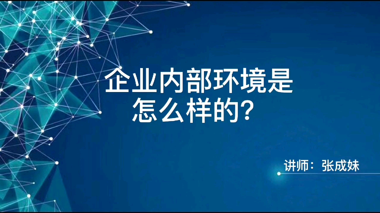 企业内部环境是怎么样的哔哩哔哩bilibili