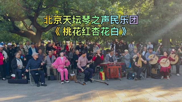 桃花红杏花白器乐演奏图片