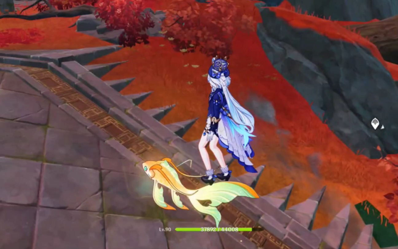 浮锦,你可以骑这件事我怎么现在才知道啊?