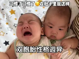 下载视频: 弟弟一直哭，哥哥心想：这货在肚子里就这样，早就习惯了😂最后被挨了一拳也是淡然一笑😭