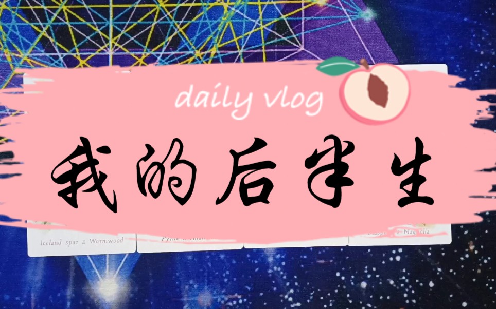 我的后半生(下)哔哩哔哩bilibili