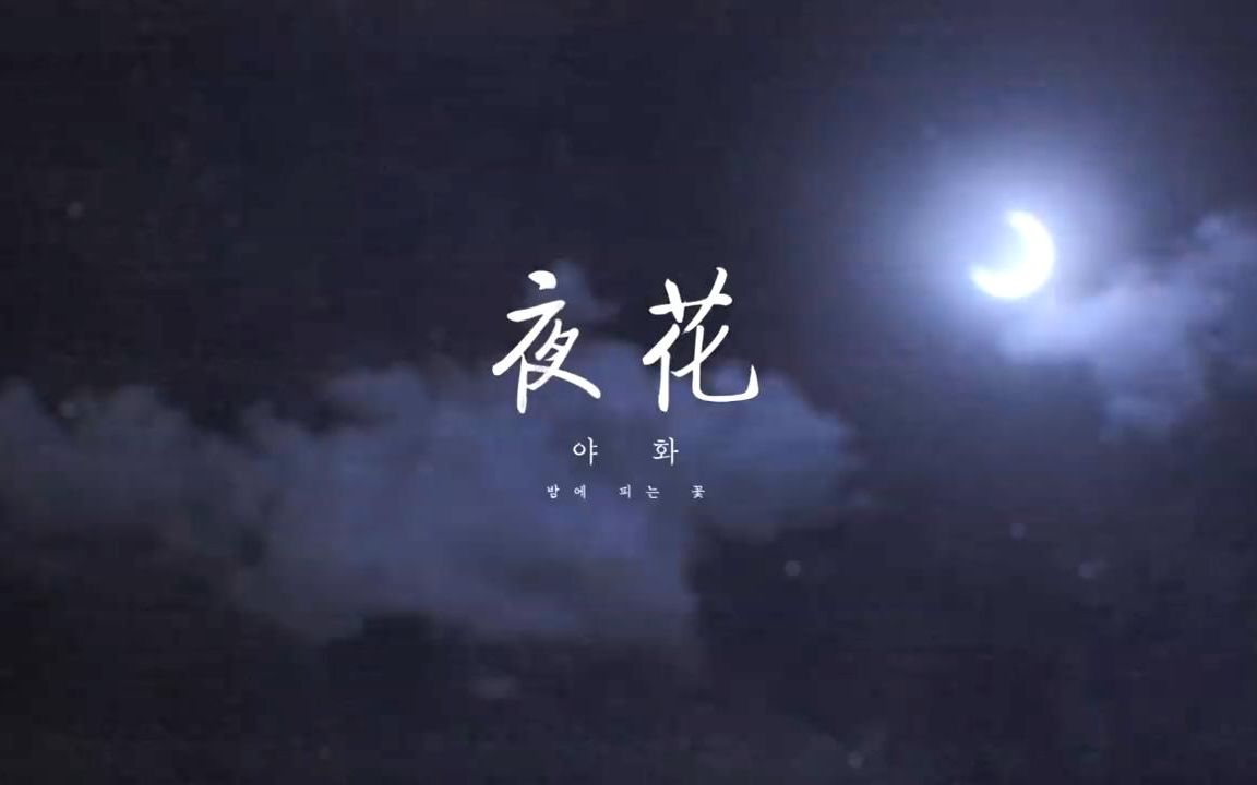 [图]AHN YEEUN(安艺恩) - Night Flower（Painter of the Night OST） 夜花 (野画集 OST) 中韩字幕