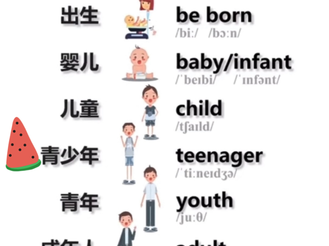 人的生命历程英语词汇